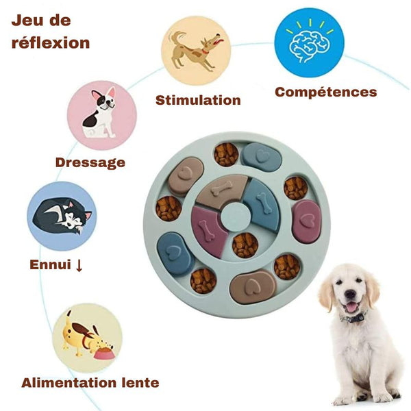 Jeu de réflexion pour chien - Gamelle anti-glouton