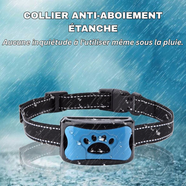 Collier Anti Aboiement étanche pour chien utilisé sous la pluie.
