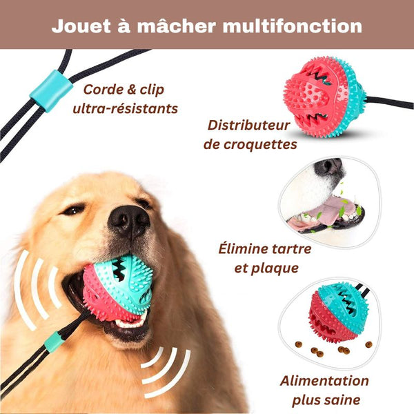 Jouet ventouse pour chien multifonction avec croquettes dispersées