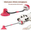 Jouet ventouse pour chien idéal pour chiens énergiques, image démonstrative