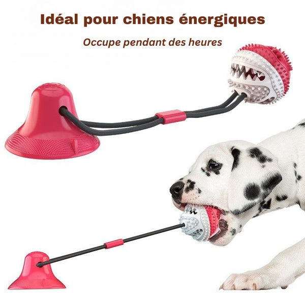 Jouet ventouse pour chien idéal pour chiens énergiques, image démonstrative