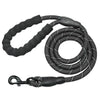 Laisse pour Chien Indestructible noire ultra solide