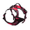 Harnais Anti Traction rouge - Vue complète du harnais.