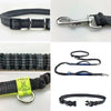 Zoom sur les détails techniques de la laisse mains libres pour chien avec sangle renforcée