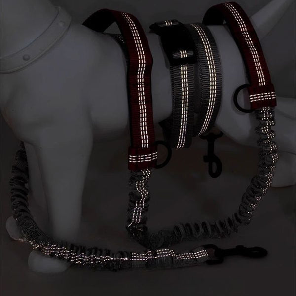 Harnais réfléchissant et laisse mains libres pour chien en visibilité nocturne