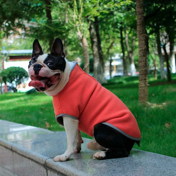 Bouledogue français assis en extérieur avec un Sweat Polaire pour Chien rouge brique