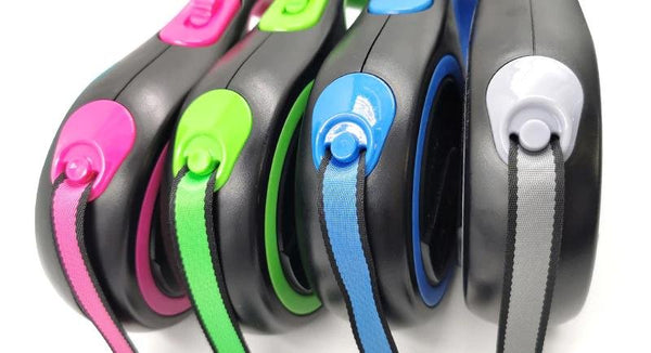 Sortie de sangle des différentes Laisse Enrouleur Gros Chien colorées