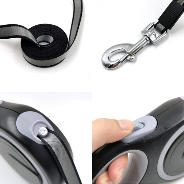 Détails de la Laisse Enrouleur Gros Chien : sangle, crochet, bouton