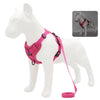 Harnais Anti-Traction petits chiens rose fuchsia avec design confortable.