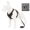 Harnais Anti-Traction petits chiens marron avec finition réfléchissante et laisse marron.