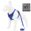 Harnais Anti-Traction petits chiens bleu avec boucle sécurisée et laisse coordonnée