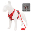 Harnais Anti-Traction petits chiens rouge avec laisse assortie sur mannequin blanc.