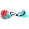 Jouet ventouse pour chien en caoutchouc rouge et bleu avec corde noire