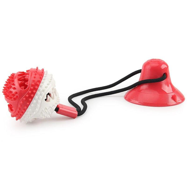 Jouet ventouse pour chien avec balle rouge et blanche, corde noire et ventouse rouge