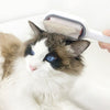 Brosse Pour Poils De Chat en action sur un chat ragdoll, collecte visible des poils sur la tête - Toutou Love
