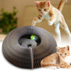 Chat jouant avec le Griffoir Magique Chat rond en carton ondulé avec balle intégrée - Toutou Love