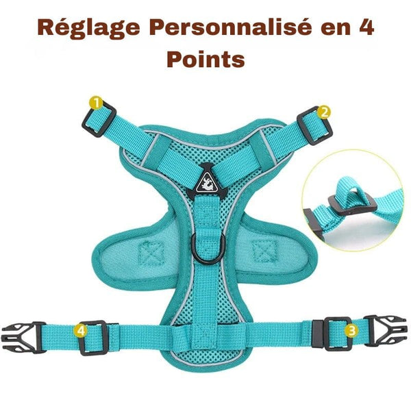Harnais Anti-Traction petits chiens avec réglage personnalisé en 4 points pour un ajustement parfait - Toutou Love
