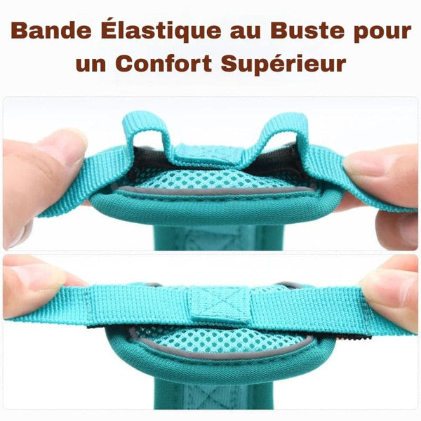Harnais Anti-Traction petits chiens doté d'une bande élastique au niveau du buste pour un confort supérieur - Toutou Love