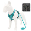 Harnais Anti-Traction petits chiens turquoise ajustable avec boucle résistante - Toutou Love