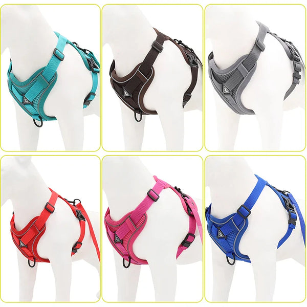 Variété de couleurs du Harnais Anti-Traction petits chiens sur mannequin - Toutou Love
