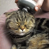 Chat détendu recevant un massage sur la tête avec un masseur pour chat - Toutou Love