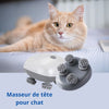 Chat roux détendu à côté d’un masseur pour chat avec têtes rotatives visibles - Toutou Love