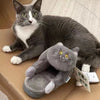 Pantoufles chat grises posées près d'un vrai chat gris et blanc - Toutou Love