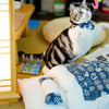 Chat jouant près de son Sac De Couchage Pour Chat bleu et blanc - Toutou Love