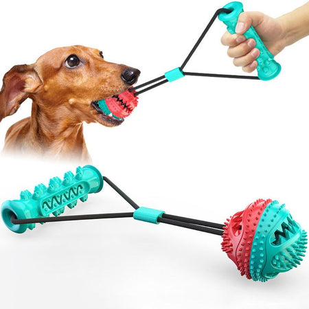 Chien jouant avec un jouet à mâcher pour chien en traction à la main