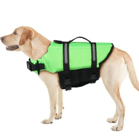 Gilet de sauvetage pour chien ajusté sur Labrador debout.