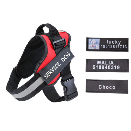 Étiquette pour Harnais Personnalisé avec texte