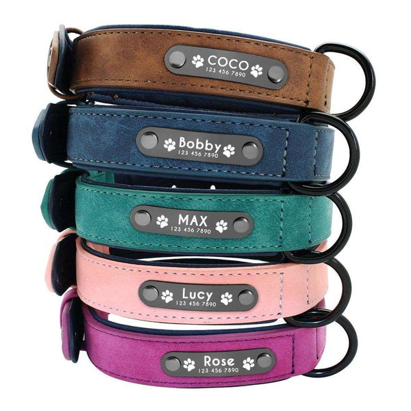 Collier pour Chien Personnalisé – Empilement de colliers gravés personnalisés