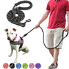 Homme promenant un chien avec une Laisse pour Chien Indestructible noire
