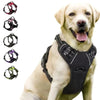 Harnais Anti Traction noir pour chien - Différents coloris disponibles.
