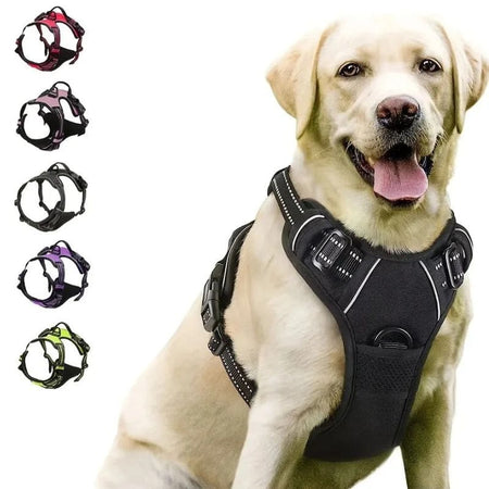 Harnais Anti Traction noir pour chien - Différents coloris disponibles.