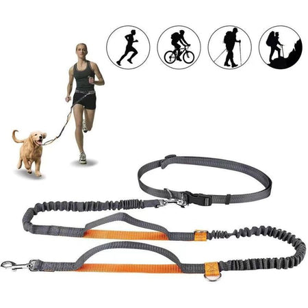 Présentation de la laisse mains libres pour chien adaptée à la course, au vélo et à la randonnée