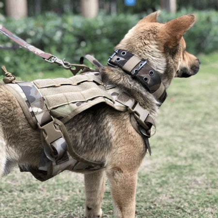 Harnais Tactique Anti-Traction camouflage vu de dos en extérieur