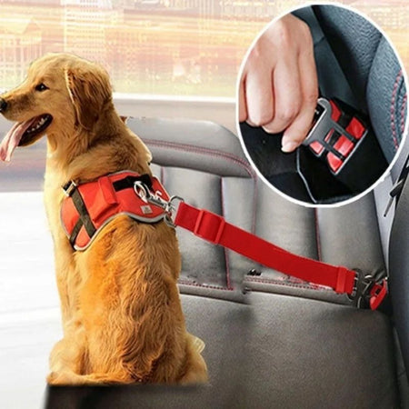 Ceinture de Sécurité pour Chien attachée au harnais dans une voiture