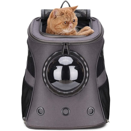 Chat roux dans un sac à dos pour chat noir avec ouverture supérieure - Toutou Love