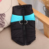 Manteau Imperméable pour Chien noir et bleu plié avec harnais intégré, posé sur un fauteuil