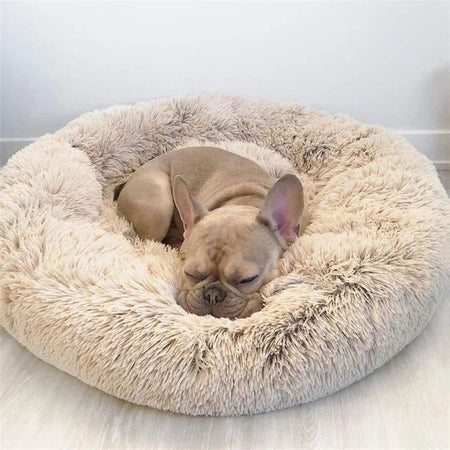 Petit chien dormant dans un Panier Donut moelleux pour chien beige.