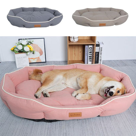 Canapé lit pour chien rose avec chien couché confortablement
