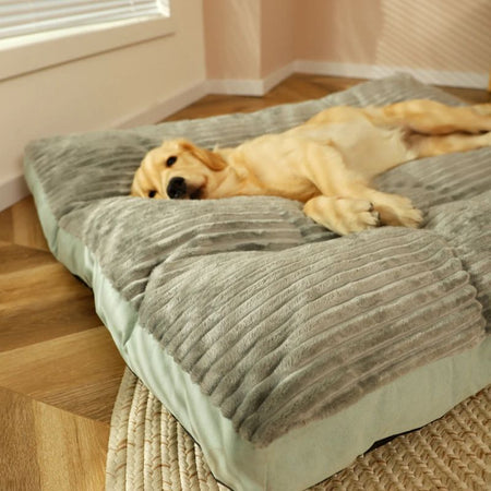 Coussin orthopédique pour chien gris clair avec un Golden Retriever détendu.