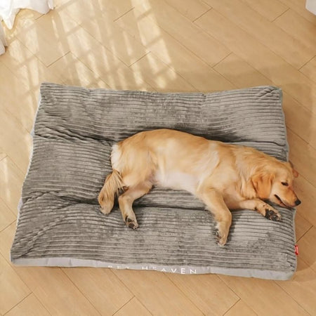 Coussin orthopédique pour chien gris clair avec un chien dormant dessus.