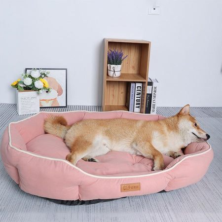Canapé lit pour chien rose avec un Shiba Inu allongé dedans