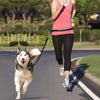 Femme courant avec son chien attaché à une laisse mains libres pour chien