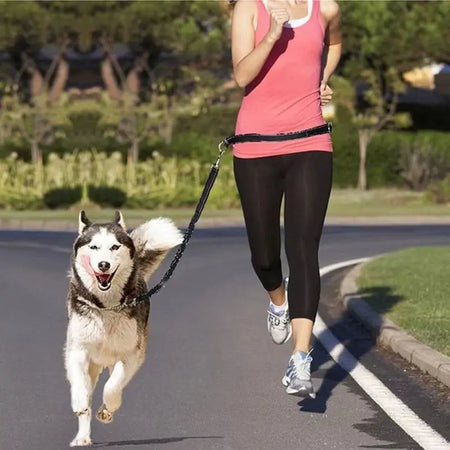 Femme courant avec son chien attaché à une laisse mains libres pour chien