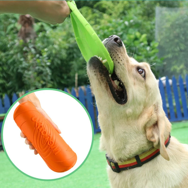 Chien mordant un frisbee vert souple, démonstration de flexibilité du jouet