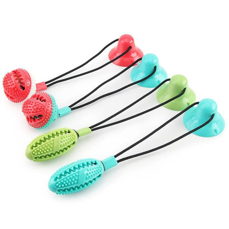 Gamme complète de jouets ventouse pour chien avec différentes balles et couleurs
