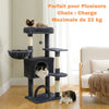 Arbre à chat avec hamac parfait pour plusieurs chats, charge maximale de 22 kg - Toutou Love